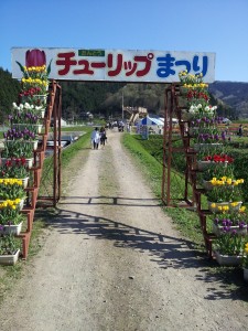 たんとうチューリップまつり♪