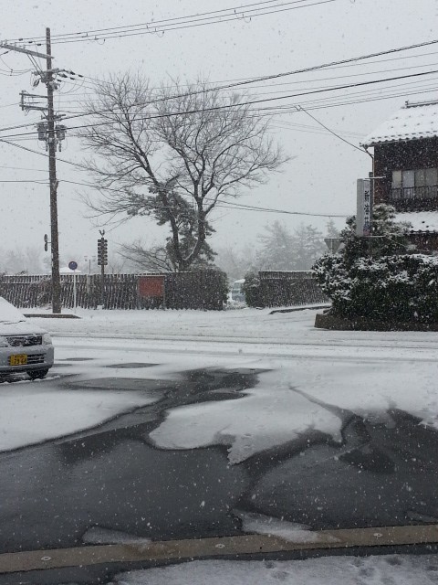 ２月２０日　雪が降っています。